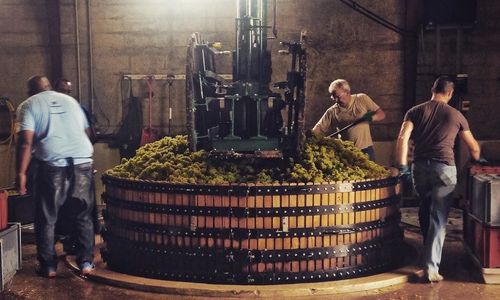 Champagne and other classic method sparkling wines