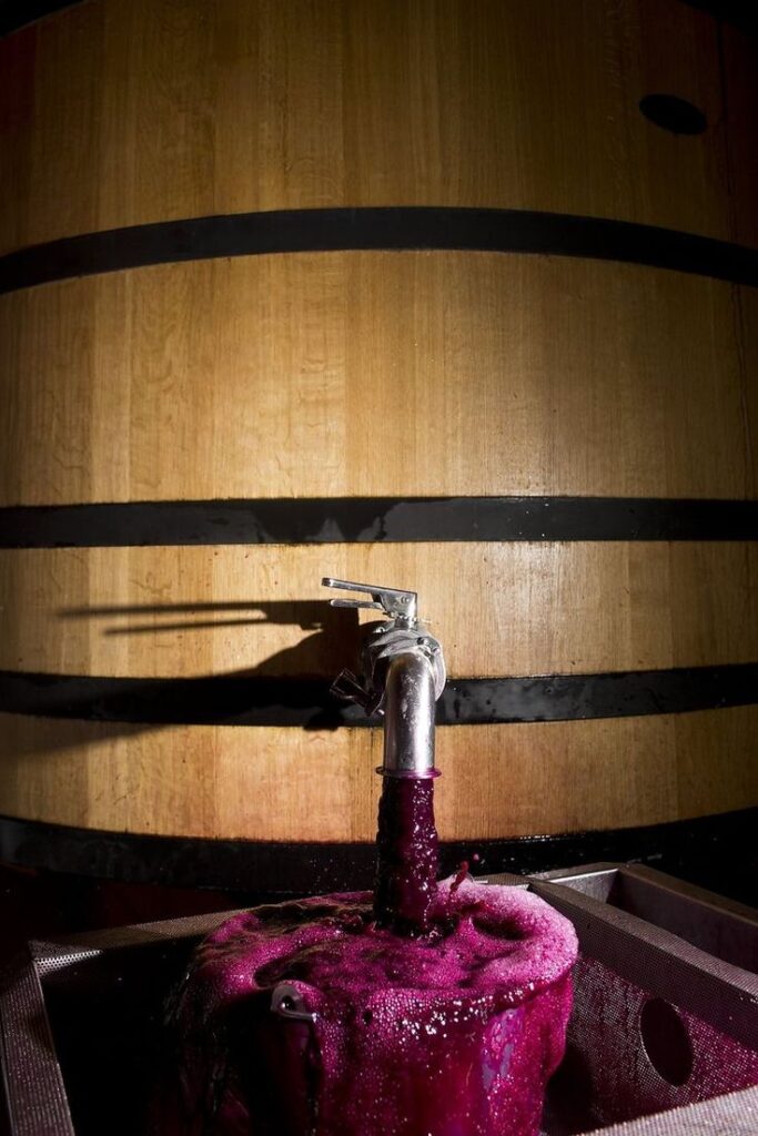 Romanian natural wines