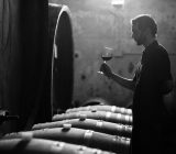 Comparison between Old World and New World wines