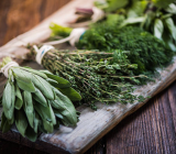 Compositions with aromatic plants: creative ideas