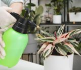 Gel water for plants: advice on use