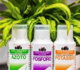 How do plants feed themselves? Let’s discover macro and microelements » Online Plant Sales