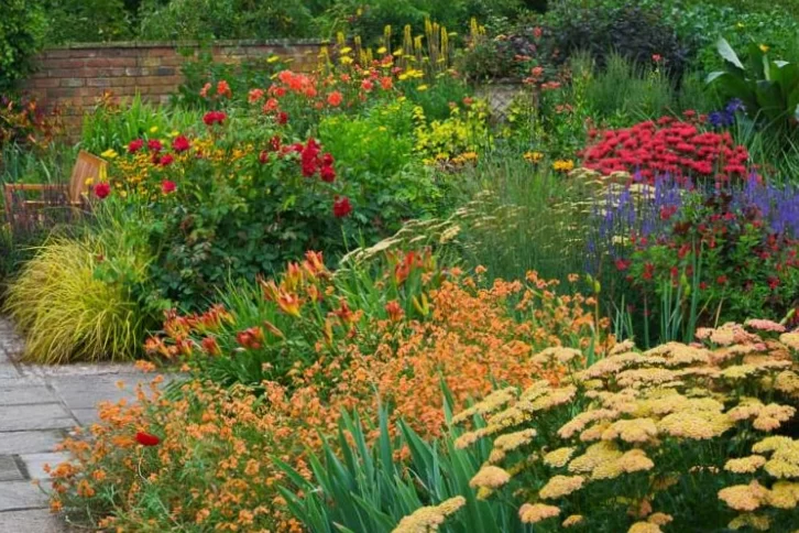 Flower beds with perennial plants: ideas for borders