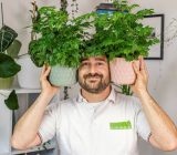 how is it treated? Sell ​​Plants Online