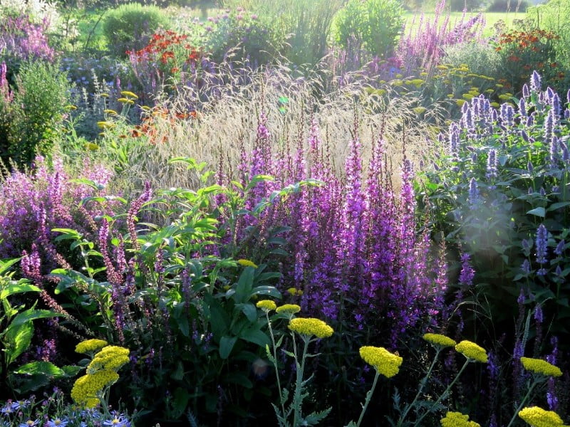 Naturalistic design. photo by the author Rasa Laurinavičienė