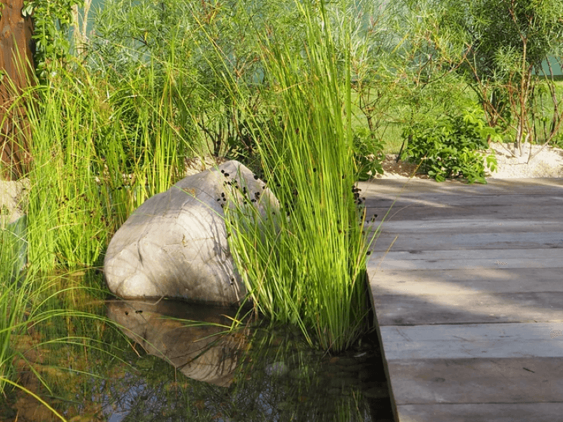 Look for inspiration in the nature surrounding the plot, choose plants in a naturalistic style. photo La Marija Bujauskaitė